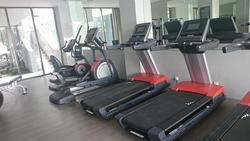 Skyline Residences (D4), Condominium #165203592